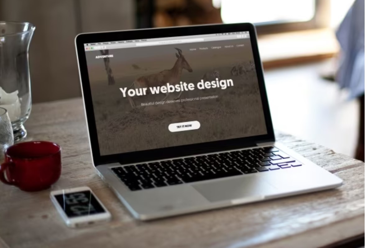 Descubra o que é a aplicação web