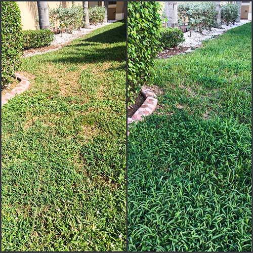 Best Time To Put Down Grass Fertilizer Justagric