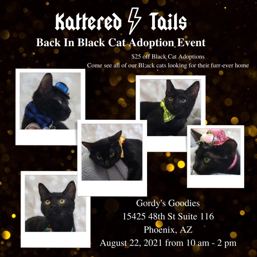 Kattered Tails Helping Cats One Tattered Tail At A Time