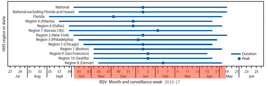 Are We Going To See A Summer Surge Of Rsv This Year Keep Kids Healthy