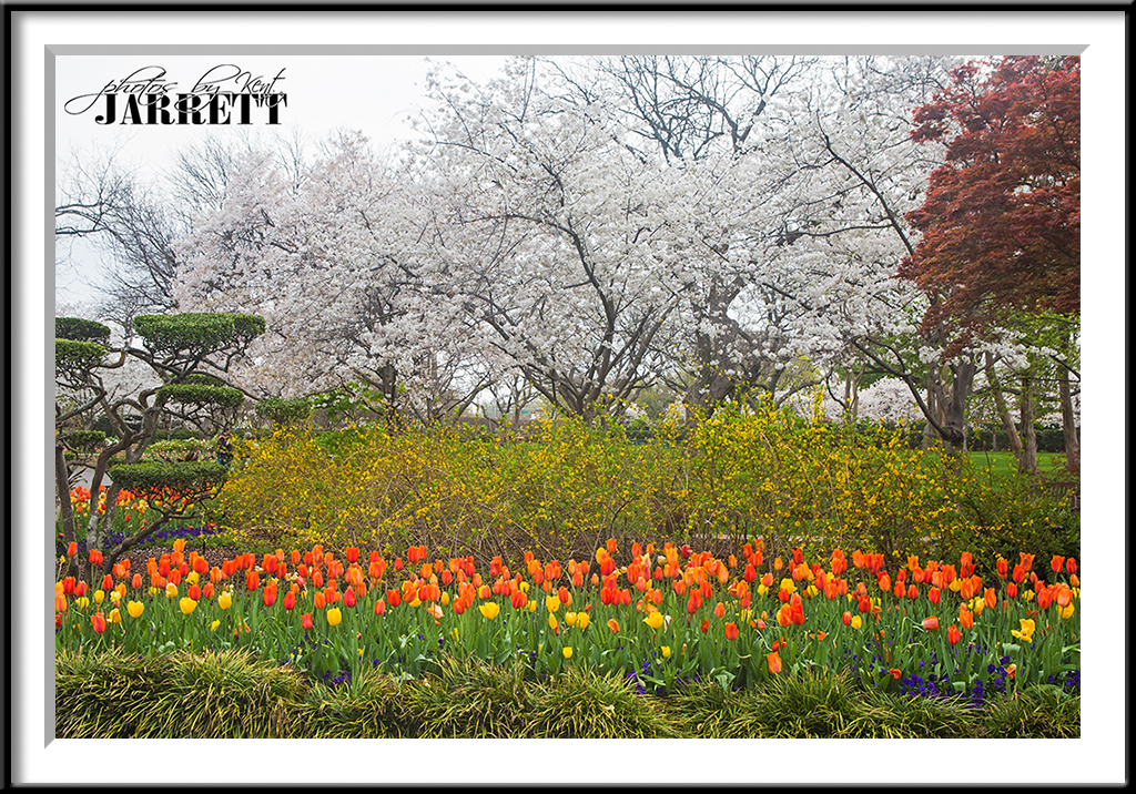Dallas Arboretum And Botanical Garden Kent Jarrett Photography