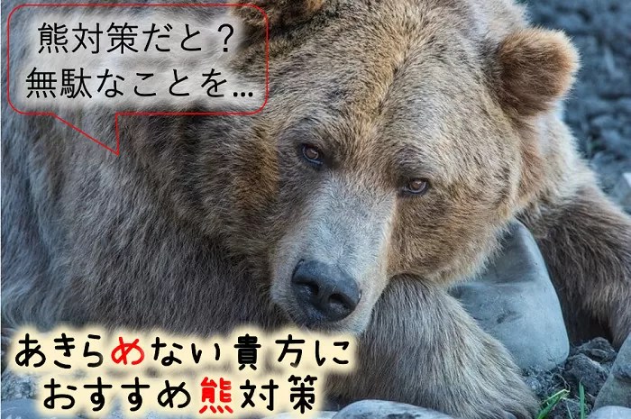 【登山初心者必見】熊対策を詳しく解説！ダメな時はダメだけどね！