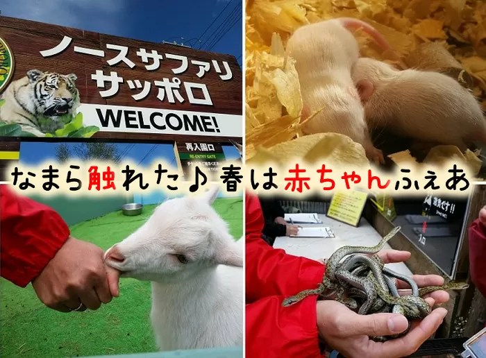 【ノースサファリ】沢山の動物に触れる札幌の動物園！無料シャトルバス有り