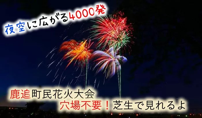 19年足寄ふるさと盆踊り 両国花火大会 何かで花火が増えるよ 19年足寄ふるさと盆踊り 両国花火大会 何かで花火が増えるよ