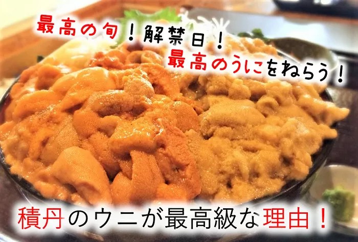 人気激安積丹美国沖産‼️塩水カップウニ‼️ 魚介類(加工食品