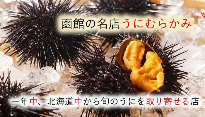 函館ウニの旬は？一番旨い時期におすすめの名店うにむらかみで食べる