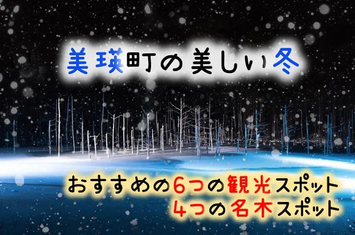 美瑛町の観光スポット　青い池