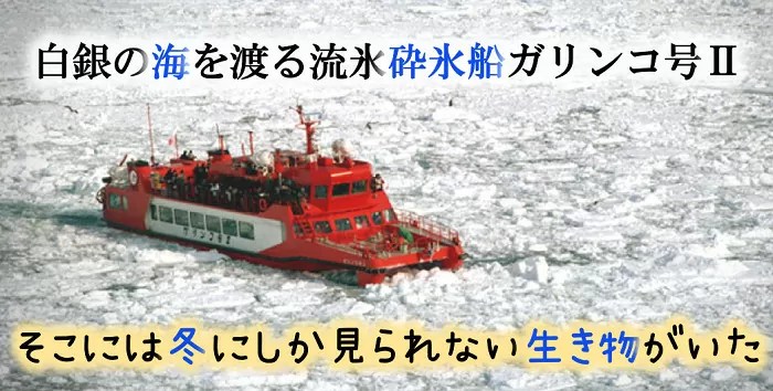 流氷砕氷船ガリンコ号Ⅱで白銀の海をかち割り進む!