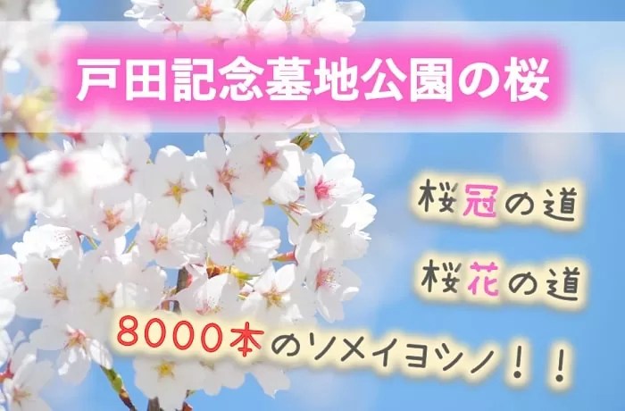 石狩市 桜の名所「戸田記念墓地公園」