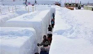 雪の巨大めいろ