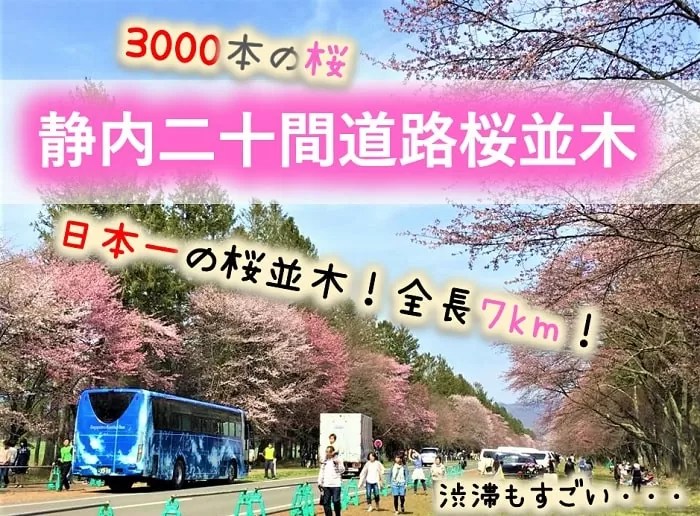 静内二十間道路桜並木