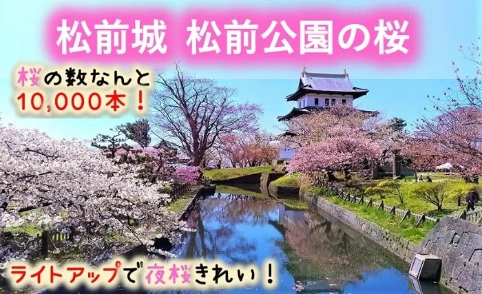 松前城・松前公園の桜
