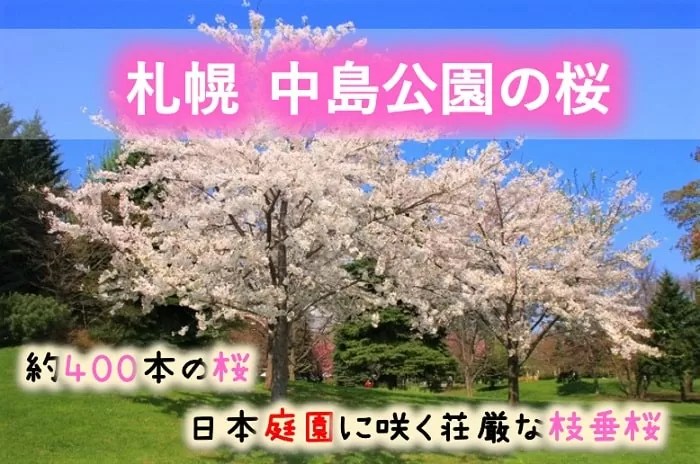 札幌 中島公園の桜