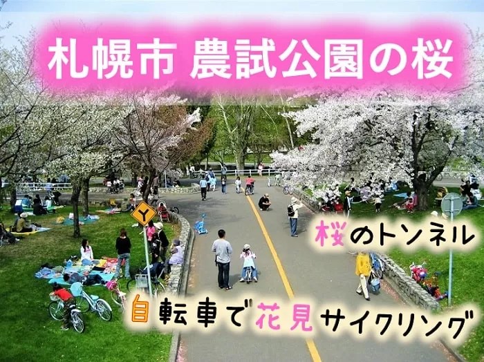 札幌 農試公園の桜