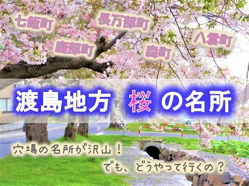 渡島地方　桜の名所10選