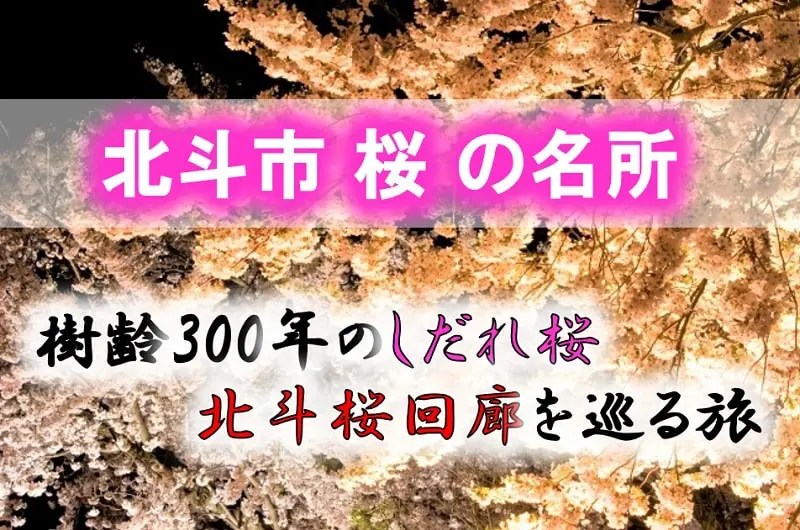 北斗市 桜の名所