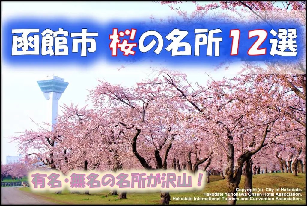 函館市　桜の名所12選