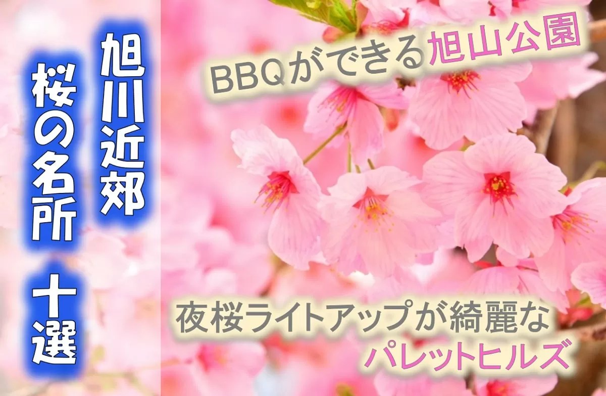 【旭川桜の名所10選】旭川近郊から厳選の花見スポット
