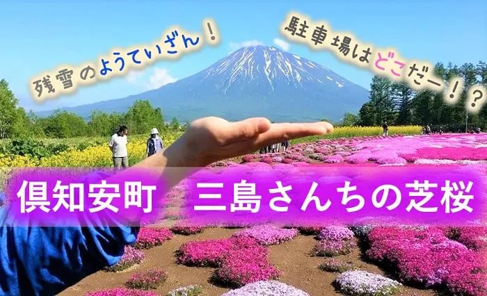 倶知安町 三島さんちの芝桜庭園