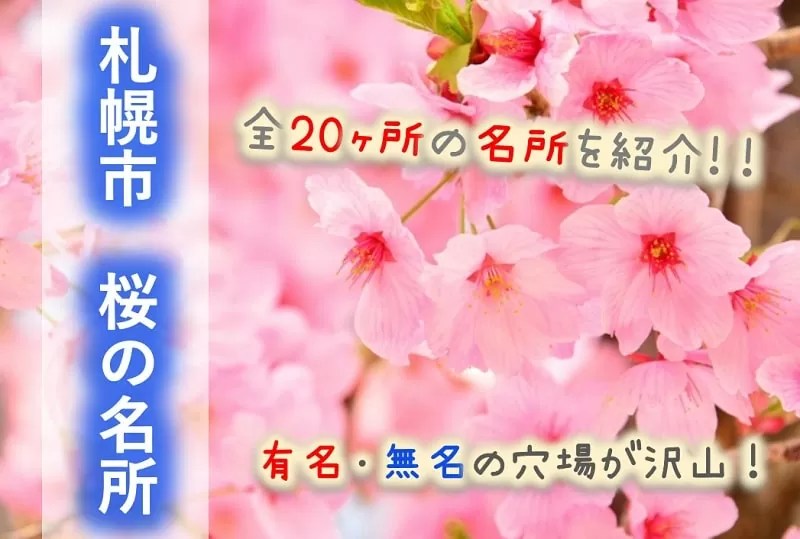 【札幌市】桜の名所２０選！開花はいつ？花見の穴場や見どころは？