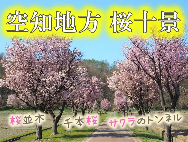 空知桜十景！美唄の東名公園など名所満載！