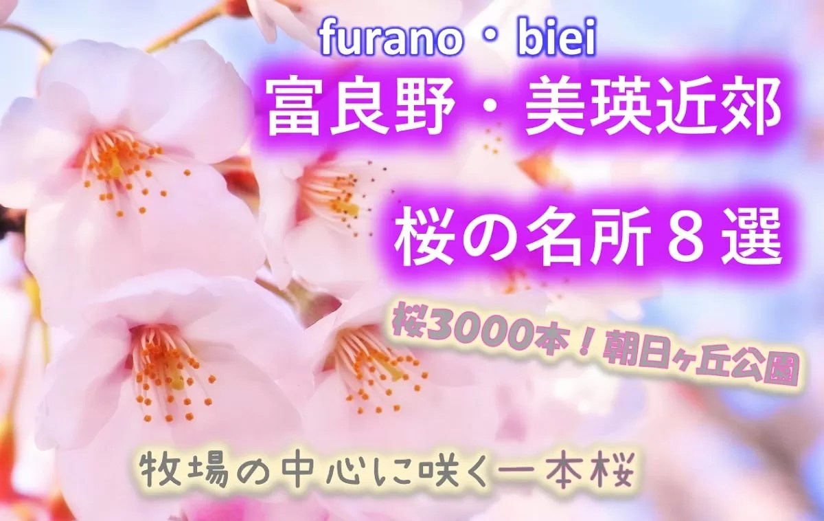 【富良野・美瑛近郊】桜の名所８選！開花予想はいつ？東大演習林はどこ？