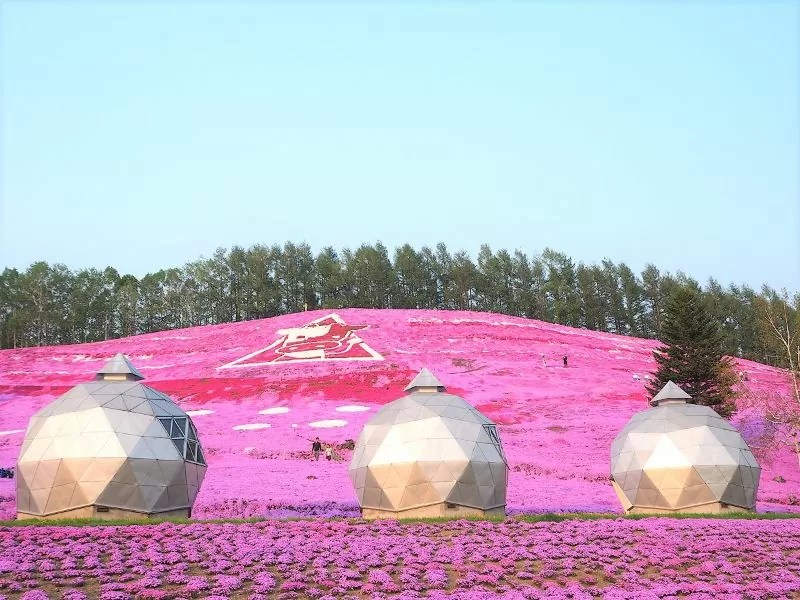 ひがしもこと芝桜公園キャンプ場