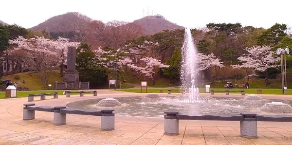 函館公園の噴水と桜