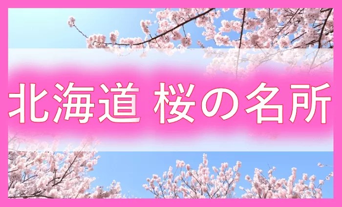 北海道　桜の名所