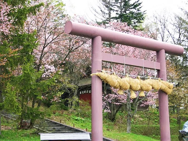 【愛別町】蓬莱山（愛別神社）