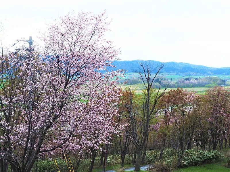 【中川町】見晴公園