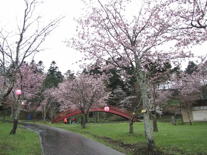 【厚岸町】子野日公園(ねのひこうえん)