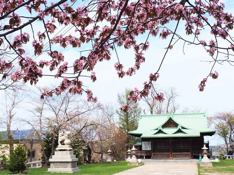 【水天宮】眼下に広がる小樽港と桜の名所