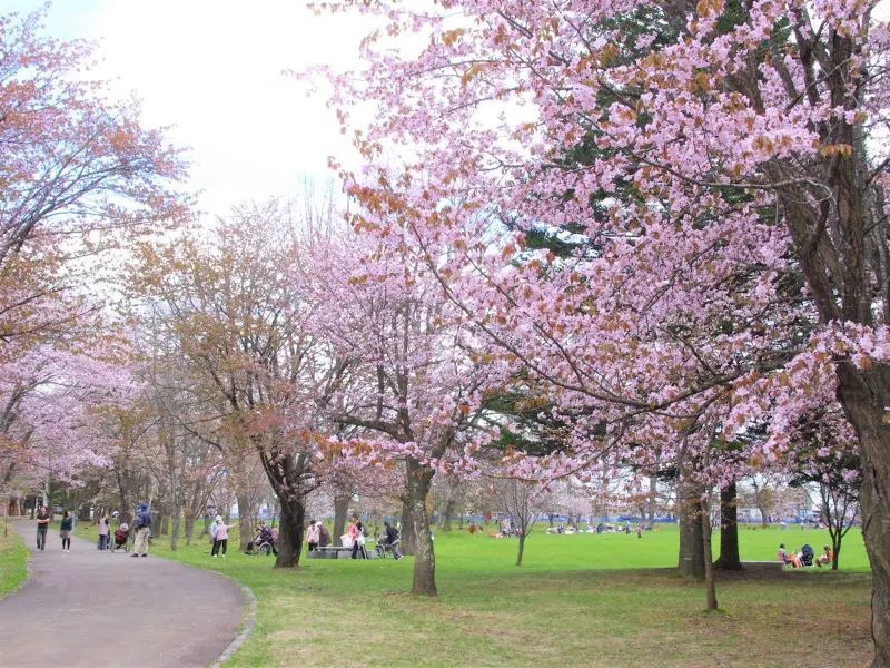 【音更町】鈴蘭公園