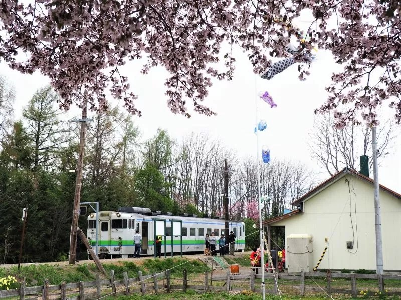 ⑨【新十津川町】新十津川駅の桜情報