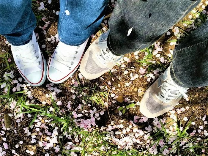 新川桜並木 花びら