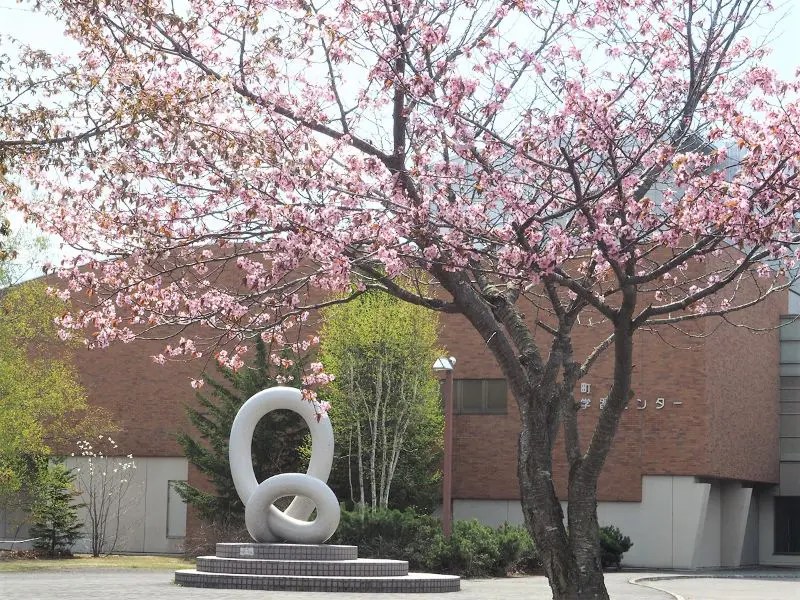 【大樹町】柏林公園