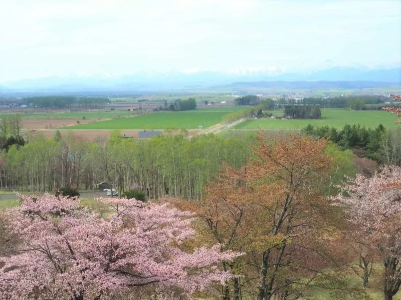 【大樹町】萠和山森林公園(もいわやましんりんこうえん)