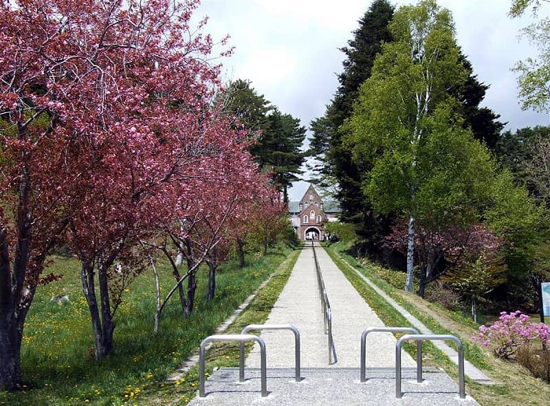 トラピスト修道院の桜並木