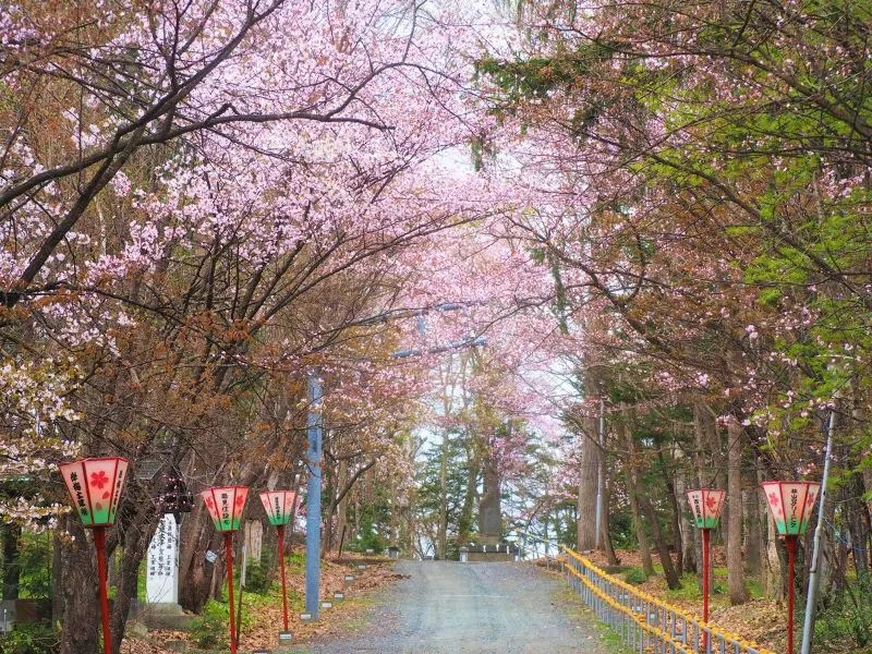 【士別市】九十九山（士別神社）