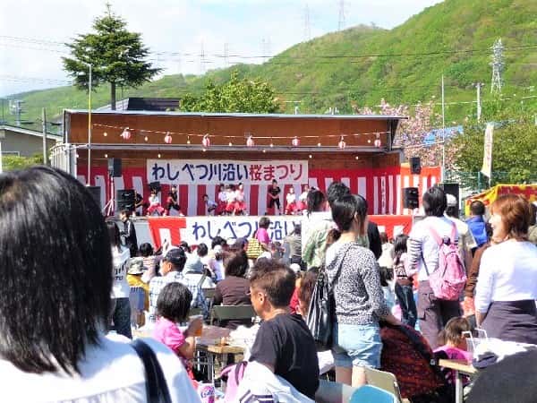 わしべつ川沿い桜まつり