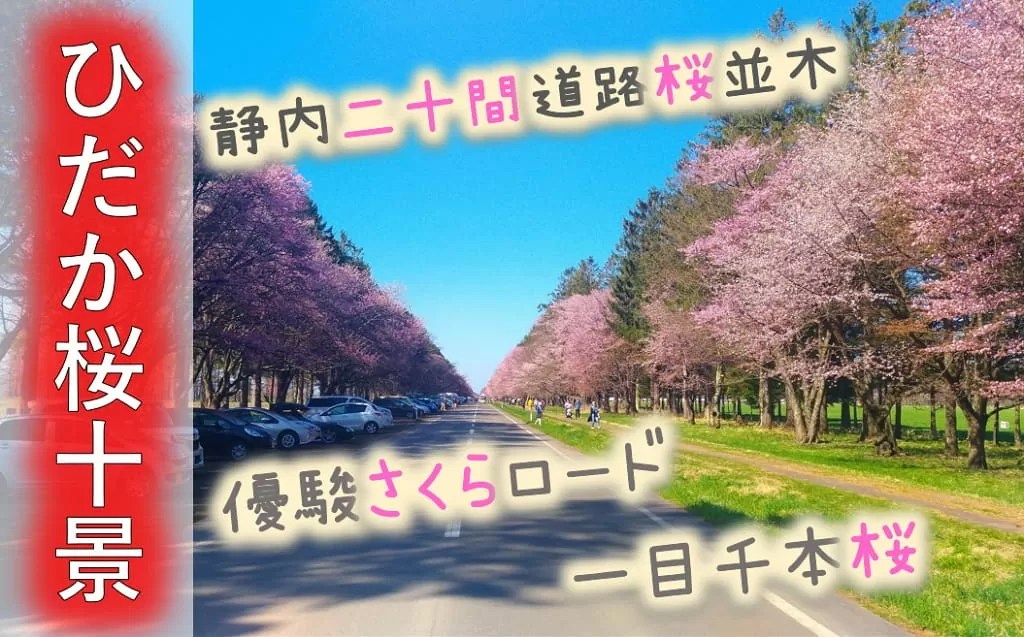 【ひだか桜十景】桜の名所がわかる！静内,登別,浦河の開花情報は？桜祭り&見頃は?アクセス情報満載