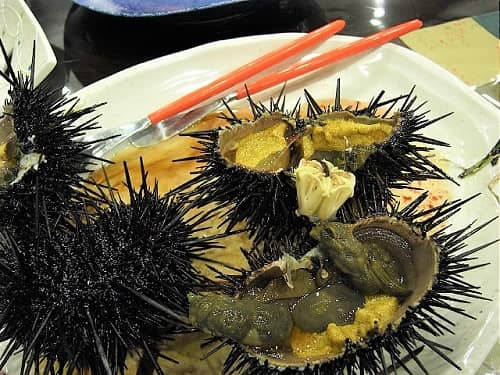 雲丹御殿 殻付き生ウニ