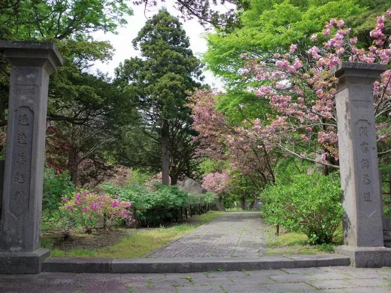 ⑤【伊達市】有珠善光寺自然公園の桜