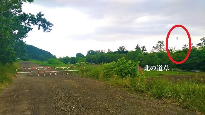 豊平川河川敷