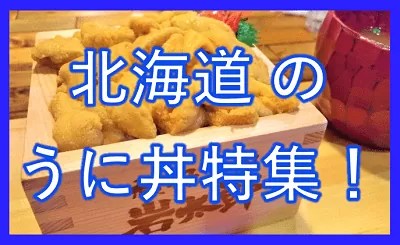 北海道のウニ丼特集