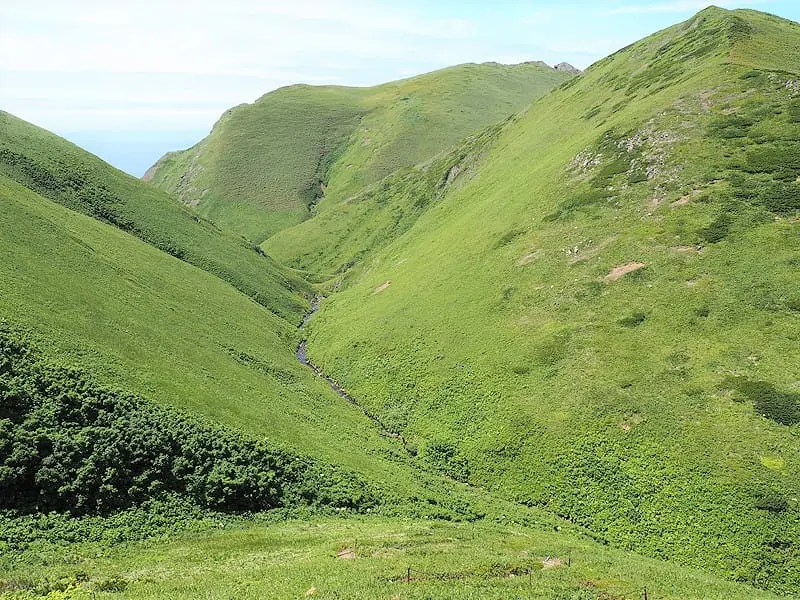 礼文島 ハイジの丘