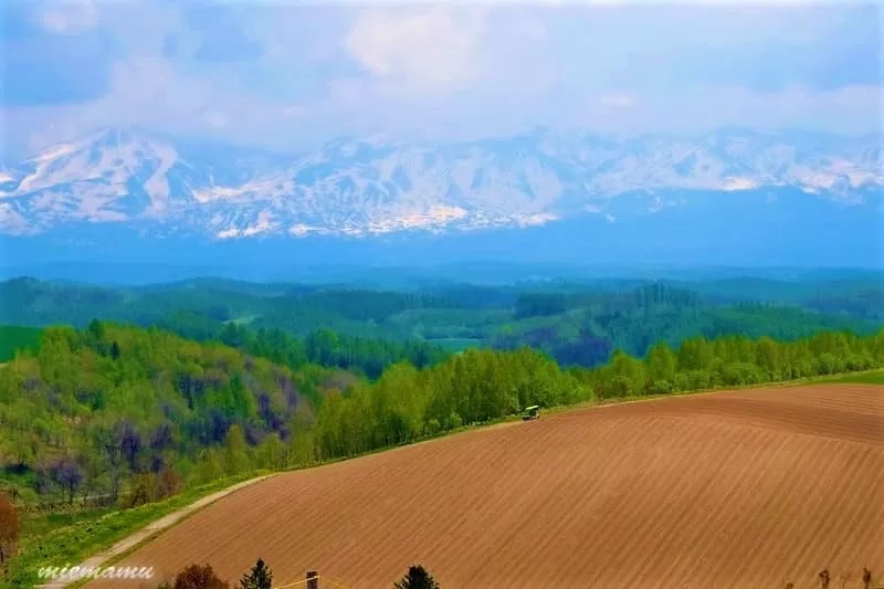 頂上の風景