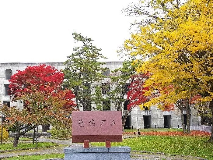 笹流ダム(ささながれだむ)