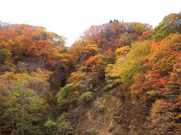 鳥崎八景(森町)